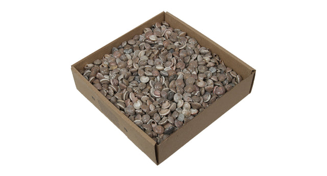 W b. button shell natural 850 gr.