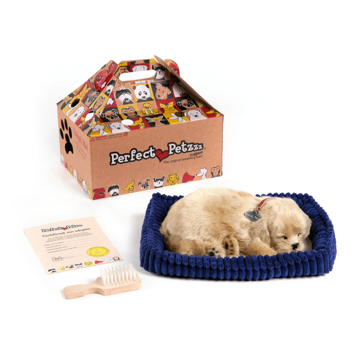 Golden retriever doux petzzz parfait