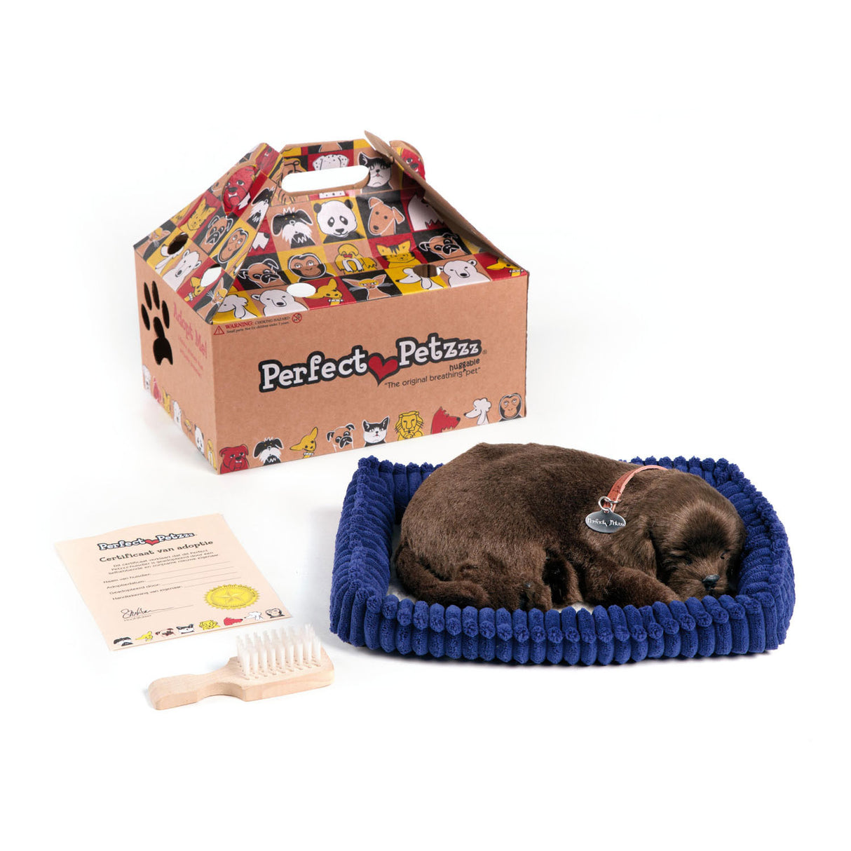 Labrador au chocolat doux petzzz parfait