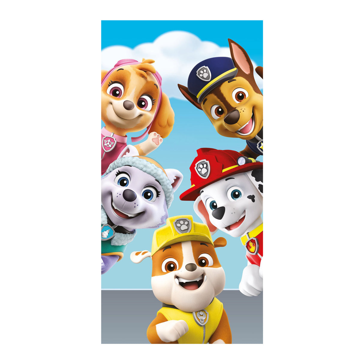 Paw patrol strandlaken paw patrol, 70x140cm