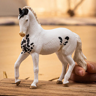 Schleich | 5 pièces