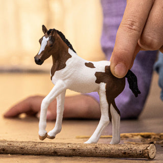 Schleich | 5 pièces