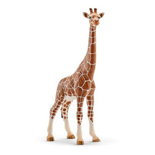 Schleich | 5 pièces