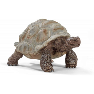 Schleich vie sauvage - tortue géante - figurine de jeu - jouet tortue - 14824
