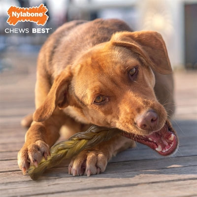 Nylabone Extreme Chew Tred Bull Bull Stick Rund Taste