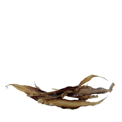 Filet de sole Petsnack