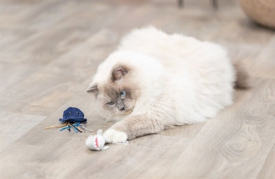 Trixie zeedieren pluche met catnip assorti