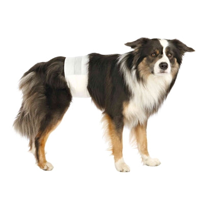 Couches pour chien Trixie mâle