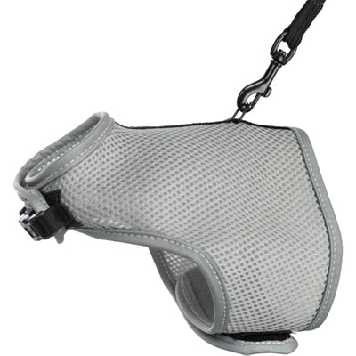 Cat Trixie Softhuik avec ceinture gris