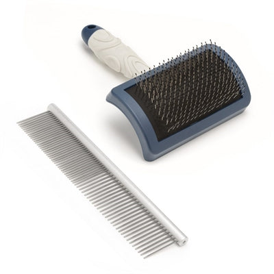 Kit de toilettage Mikki Doodle avec peigne et pinceau lisse