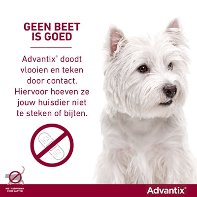 Elanco Advantix Spot sur