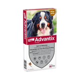 Elanco Advantix Spot sur