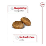 Adulte royal canin maxi