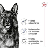 Adulte royal canin maxi