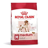 Adulte moyen de canin royal