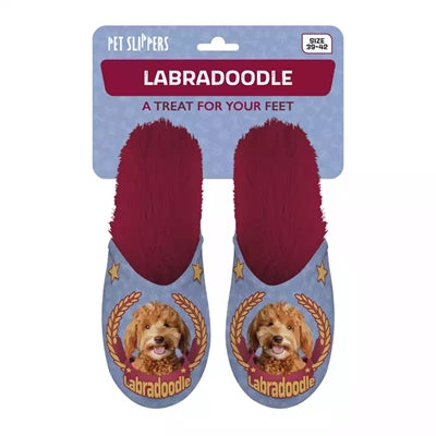 Babouche labradoodle lilas rouge