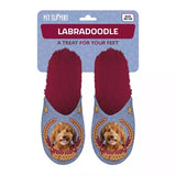Babouche labradoodle lilas rouge