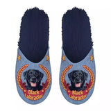 Babouche noir labrador bleu foncé
