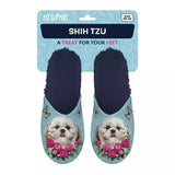 Chausson shih tzu bleu clair bleu foncé