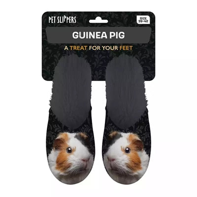 Chausson cochon d'Inde noir