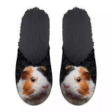 Chausson cochon d'Inde noir