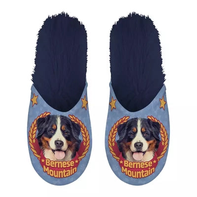 Chausson Bouvier Bernois bleu foncé