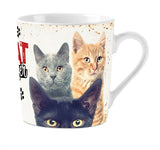 Beaucoup de cadeaux tasse amoureux des chats