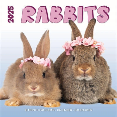 kalender rabbits studio 2025