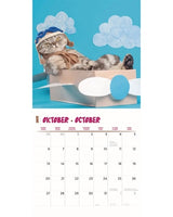 Kalender funniest cats 2025