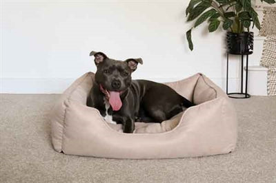 Lit pour chien Rosewood 40 winks sergé fin beige
