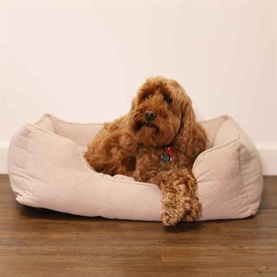 Lit pour chien Rosewood 40 winks cordon tissu côtelé beige