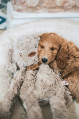Mon chien peluche chien marron