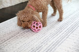 Jw hol-ee rouleau tendance-ee rose