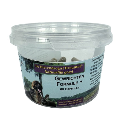 Formule articulaire de pharmacie animale + gélules