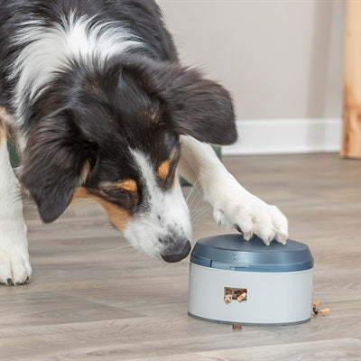 Trixie buzzer d'activité pour chien en plastique