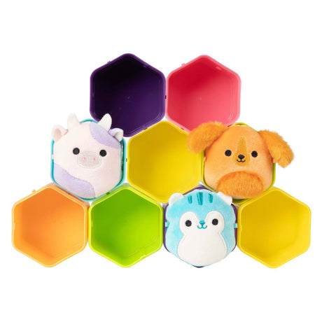 | 12 pièces