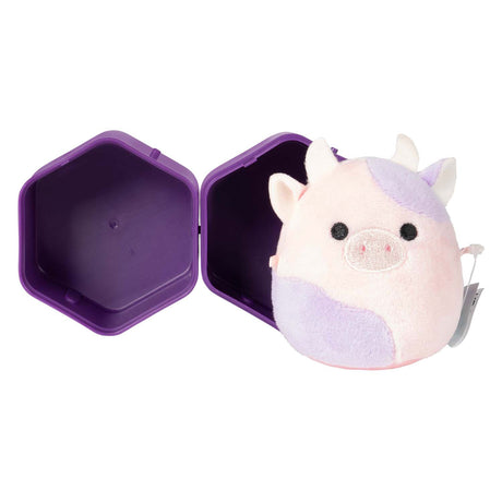 | 12 pièces