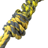 Corde de soie dentaire Fofos y g