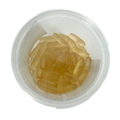 Capsules d'huile de saumon de pharmacie animale