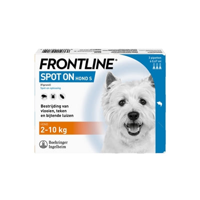 Spot de chien de première ligne sur