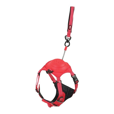 Harnais pour chien Zolux easyride rouge