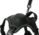 Harnais pour chien Zolux easyride noir