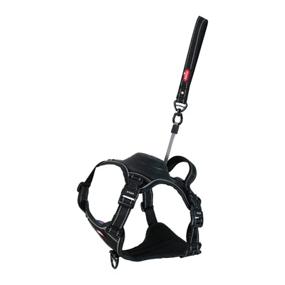 Harnais pour chien Zolux easyride noir