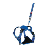 Harnais pour chien Zolux easyride bleu