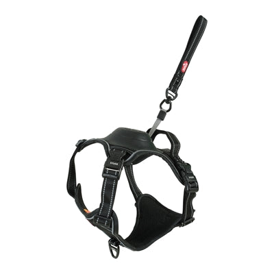 Harnais pour chien Zolux easyride noir