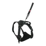 Harnais pour chien Zolux easyride noir