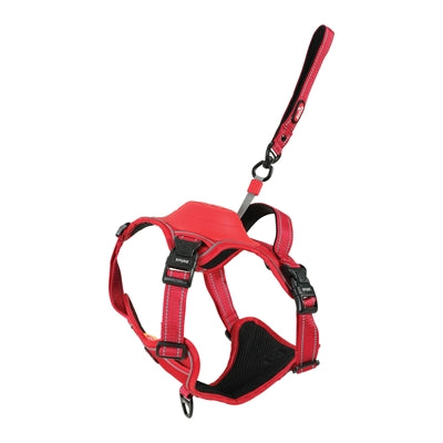 Harnais pour chien Zolux easyride rouge