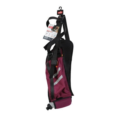 Zolux bvk ceinture de hanche sport rouge