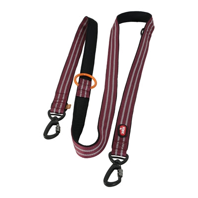Zolux bvk laisse pour chien laisse de dressage rouge