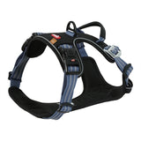 Zolux bvk harnais pour chien bleu